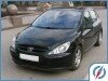 Peugeot 307 ( 307) 2002 ..